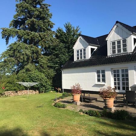 Pedersholt Bed & Breakfast Dybvad 외부 사진