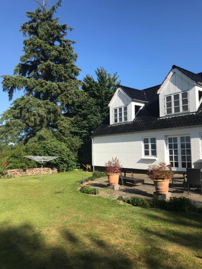 Pedersholt Bed & Breakfast Dybvad 외부 사진